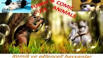Funny and comic animals, komik ve komik hayvanlar