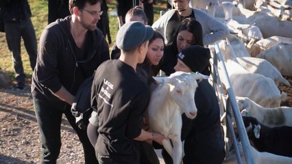 Australia's Vegan Fight | 101 East