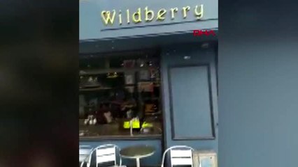 DHA DIŞ ? Kraliçelerini arayan arılar şehirde panik yarattı