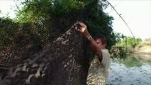 Serengeti - The Adventure (Nature Documentary)