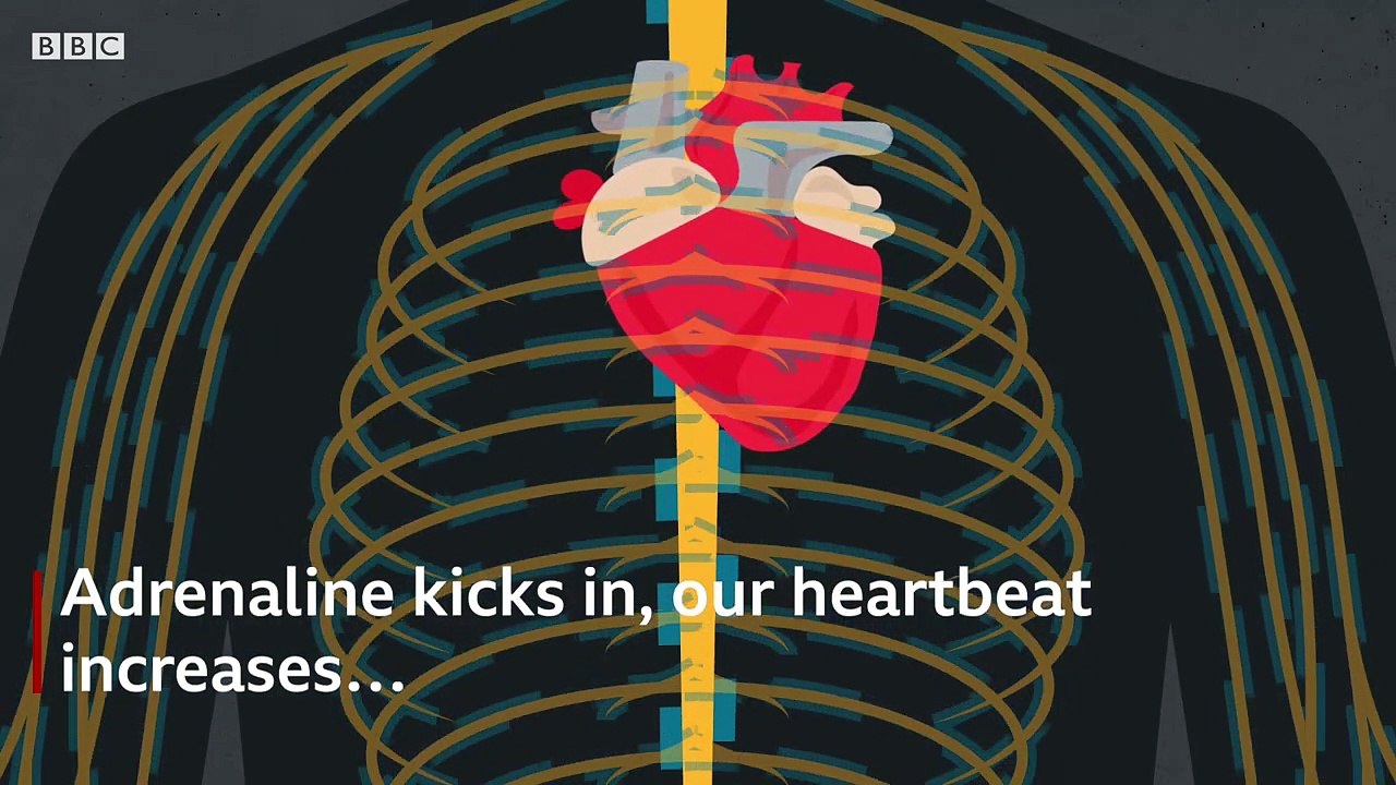 Why you can't fake a blush - BBC News