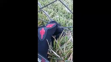 Alambrado com gelo em Castelo