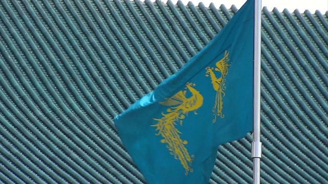 靑 대일 특사, 수면 위로 올라와야 밝힐 것 / YTN