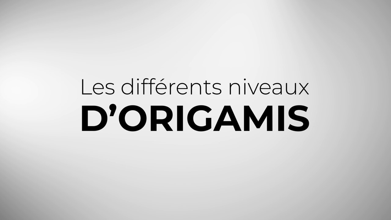 Les différents niveaux d'origamis