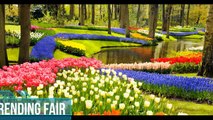Top INCREDIBLE Travel Destinations of 2019 |I The World's Biggest Flower Garden Keukenhof Gardens