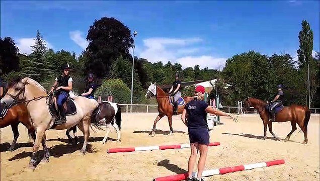 A L’Isle-en-Rigault, aux Écuries de Jeand’heurs, on procède aux derniers réglages avant le championnat de France de saut d’obstacles à Lamotte-Beuvron