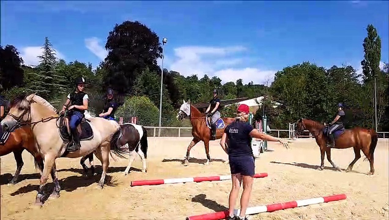 A L’Isle-en-Rigault, aux Écuries de Jeand’heurs, on procède aux derniers réglages avant le championnat de France de saut d’obstacles à Lamotte-Beuvron
