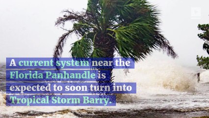 A Hurricane Could Hit the US Gulf Coast This Weekend