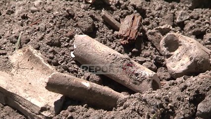 Korçë/Punimet në lulishten 'Shën Mëria' nxjerrin në sipërfaqe eshtra njerëzish