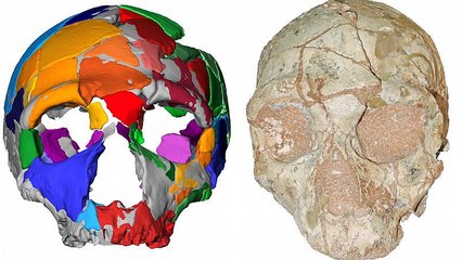 Homo sapiens kam 150.000 Jahre früher nach Europa als angenommen
