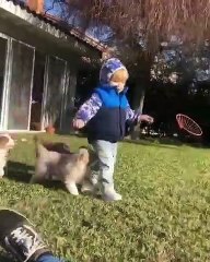 Ce bébé est chanceux ! Il reçoit pleins de câlins d'adorables chiots