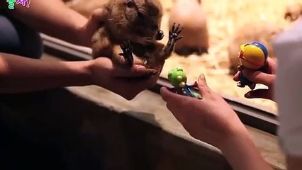 동해출장안마 -후불100%ョØ1ØE7685E6221｛카톡PP888｝ 동해전지역출장안마 동해오피걸 동해출장마사지 동해안마 동해출장마사지 동해콜걸샵ルレロ