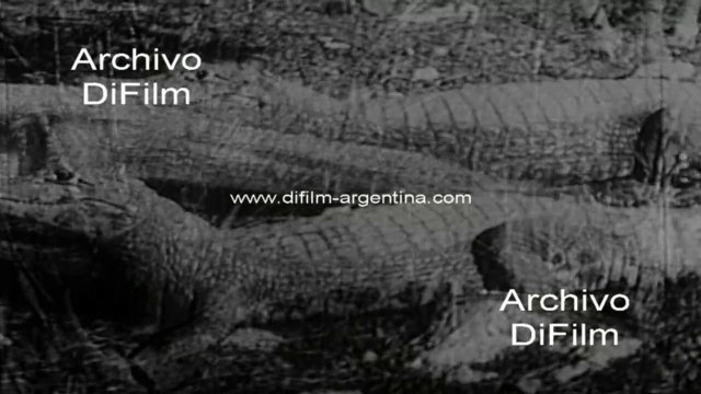 Cataratas del Iguazu - Pesca del Dorado - Ruinas San Ignacio - Misiones 1954