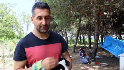 Sokak hayvanları için şehir şehir dolaşıyor