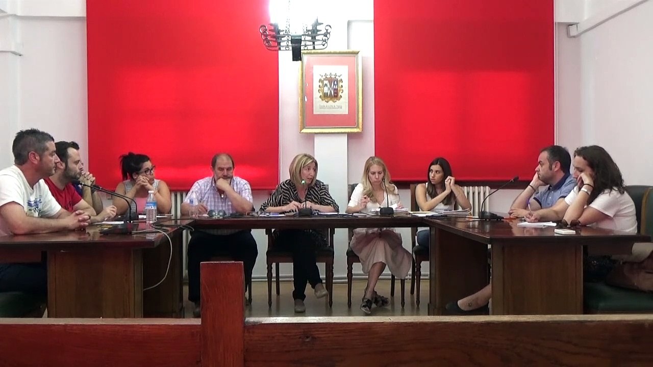 Pleno 02-07-2019