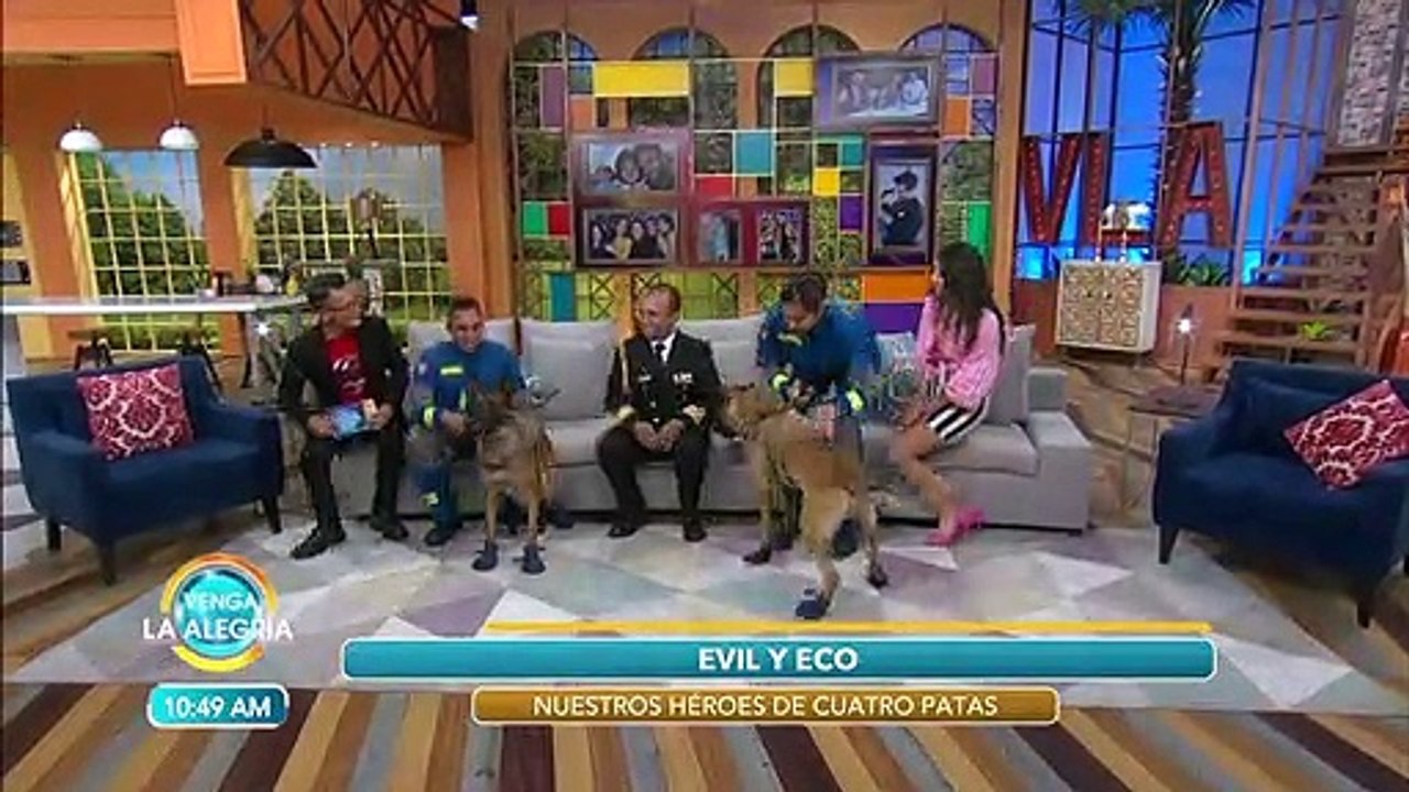 ¡Visita de pelos! ¡Nos visitaron en el foro los hermanos de Frida! | Venga La Alegría