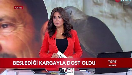 Oto Lastikçinin Kargayla Dostluğu Görenleri Şaşırtıyor