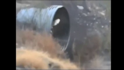 Mysterious Alien in drainage tunnel | Un étranger mystérieux dans un tunnel de drainage | Geheimnisvoller Ausländer im Entwässerungstunnel