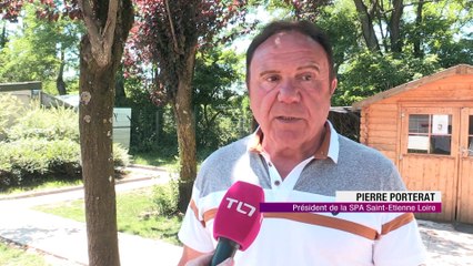 Encore trop d'abandons d'animaux pendant les vacances estivales