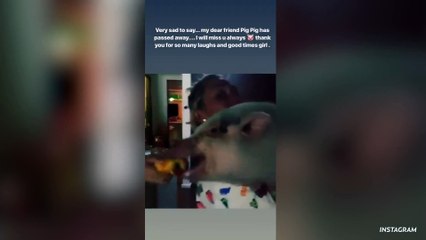 Miley Cyrus Reveals Her Pet Pig Bubba Sue Passed Away