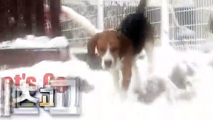 연제출장안마 -후불100%ョØ1ØE8109E5900｛카톡OYO78｝ 연제전지역출장안마 연제오피걸 연제출장마사지 연제안마 연제출장마사지 연제콜걸샵ЛМН