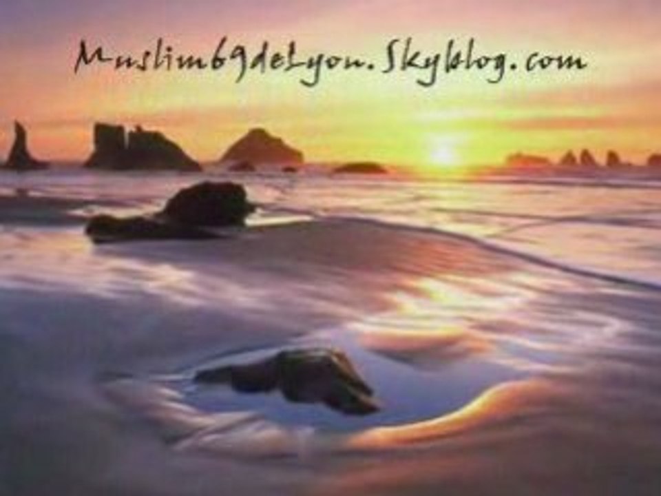 le silence des mosquées "eden" exclu 2008