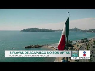 Download Video: 5 playas de Acapulco no son aptas por exceso de bacterias fecales | Noticias con Francisco Zea