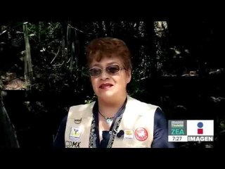 Estas son las acciones para preservar al lobo mexicano | Noticias con Francisco Zea