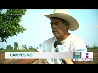 ¡Así es como el sueño americano se convierte en la pesadilla mexicana! | Noticias con Paco Zea