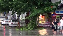 Amasya'da 15 dakikalık yağış ve fırtına sonrası evlerin çatısı uçtu, ağaçlar yıkıldı, yollar göle döndü