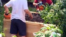 Un jardin pédagogique à Trois-Pistoles