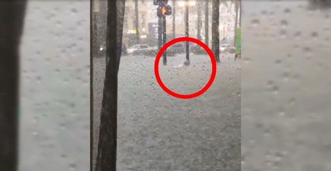 Público al Día - 11 de julio de 2019