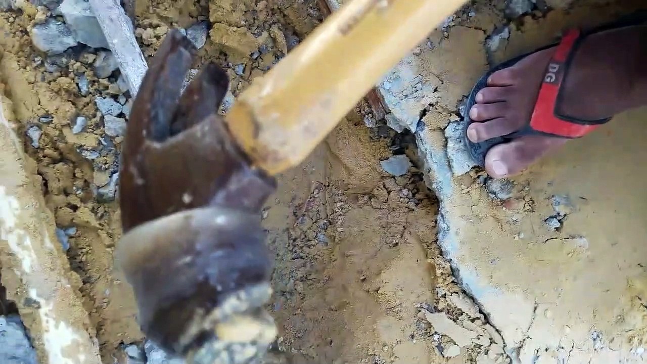 Il découvre que la canalisation est bouchée à cause... d'un anaconda