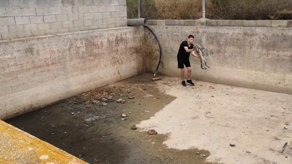 Il tente de sauver un jeune fennec coincé sur un chantier