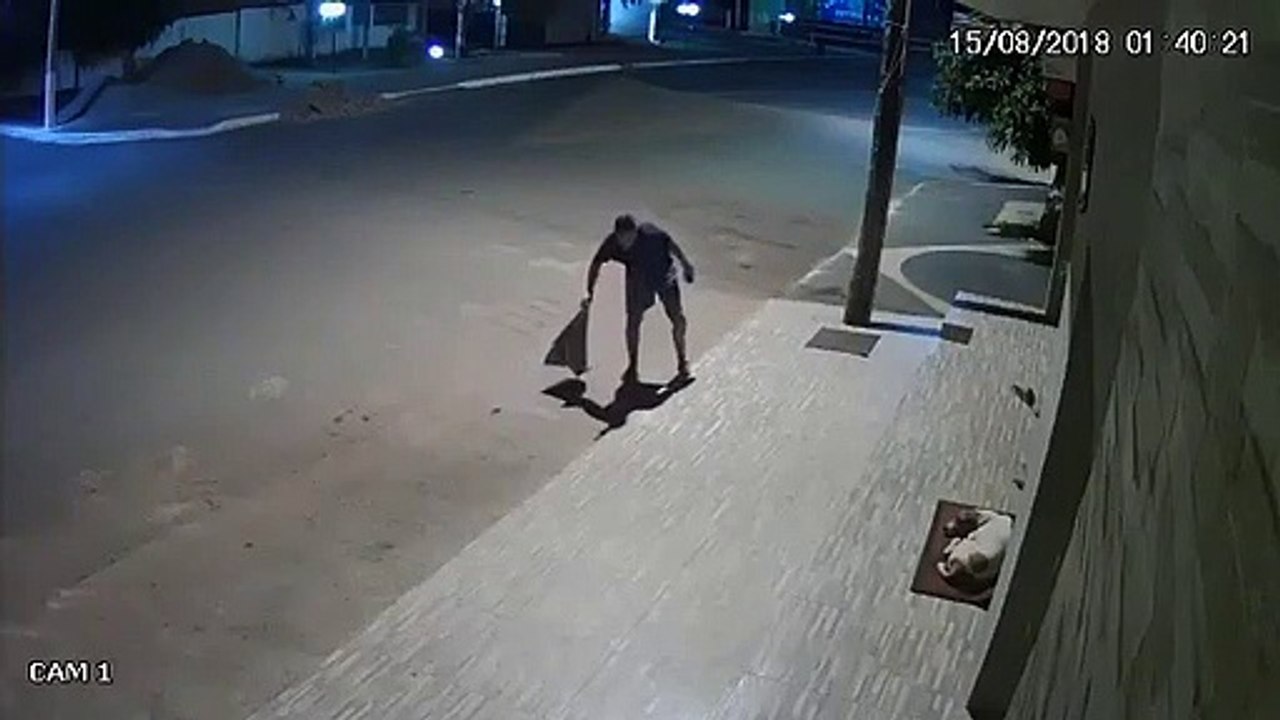 Un passant couvre un chien qui dort dans la rue... Beau geste