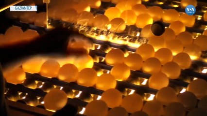 Irak’ın Yumurta Ambargosu Üreticiyi İflasın Eşiğine Getirdi