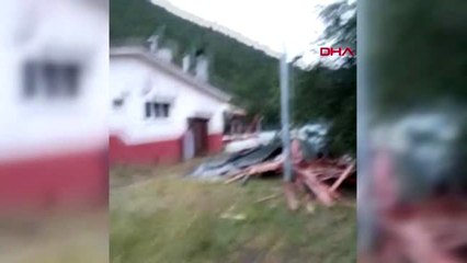 Amasya'da şiddetli rüzgar ağaçları devirdi, araçlara hasar verdi