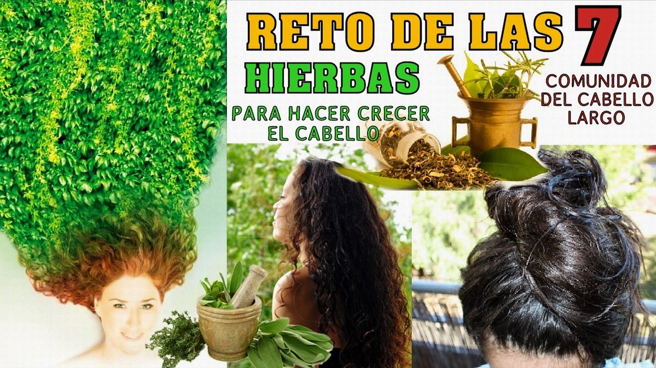 RETO DE LAS 7 HIERBAS PARA HACER CRECER EL CABELLO