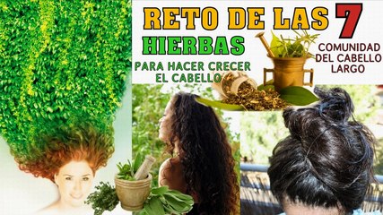 RETO DE LAS 7 HIERBAS PARA HACER CRECER EL CABELLO