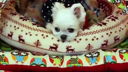 단원출장안마 -후불100%ョØ1ØE8109E5900｛카톡GD825｝ 단원전지역출장안마 단원오피걸 단원출장마사지 단원안마 단원출장마사지 단원콜걸샵ийк