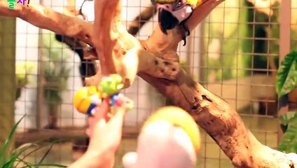 고양출장안마 -후불100%ョØ7ØE7333E9649｛카톡LGT010｝ 고양전지역출장안마 고양오피걸 고양출장마사지 고양안마 고양출장마사지 고양콜걸샵すずせ