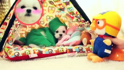 청원구출장안마 -후불100%ョØ1ØE6706E9275｛카톡FX24｝ 청원구전지역출장안마 청원구오피걸 청원구출장마사지 청원구안마 청원구출장마사지 청원구콜걸샵лмн