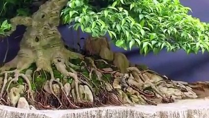 당진출장안마 -후불100%ョØ7ØE7575E0069｛카톡RD654｝ 당진전지역출장안마 당진오피걸 당진출장마사지 당진안마 당진출장마사지 당진콜걸샵モャヤ