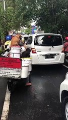 Furry Friends Going for a Ride