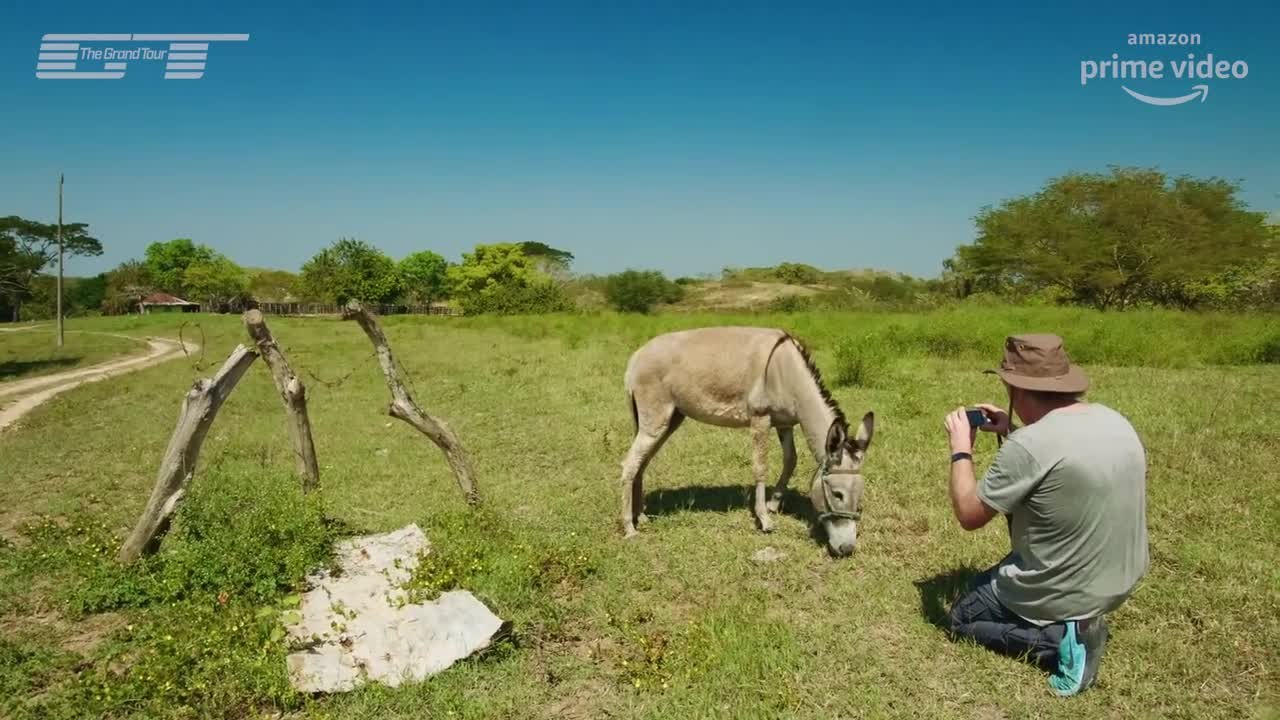 Nothing to see here