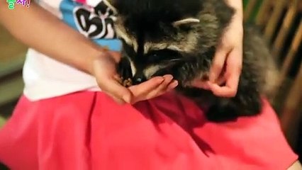 홍천출장안마 -후불100%ョØ1ØE8109E5900｛카톡OYO78｝ 홍천전지역출장안마 홍천오피걸 홍천출장마사지 홍천안마 홍천출장마사지 홍천콜걸샵ヨラリ