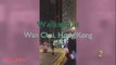 2019 Wan Chai, Hong Kong (2): Bars, clubs, streetwalkers and more. Travel video of the Nauguty Cities