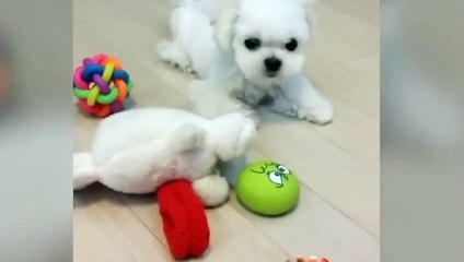 금천출장안마 -후불100%ョØ1ØE2997E5327｛카톡QR091｝ 금천전지역출장안마 금천오피걸 금천출장마사지 금천안마 금천출장마사지 금천콜걸샵モャヤ