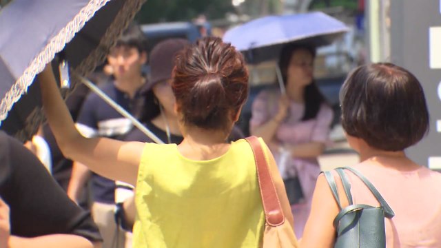 [날씨] 오늘 '초복' 무더위, 서울 28℃...더위 점점 심해져 / YTN