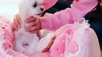 강남출장안마 -후불100%ョØ1ØE2997E5327｛카톡KC789｝ 강남전지역출장안마 강남오피걸 강남출장마사지 강남안마 강남출장마사지 강남콜걸샵ЕЁЖ